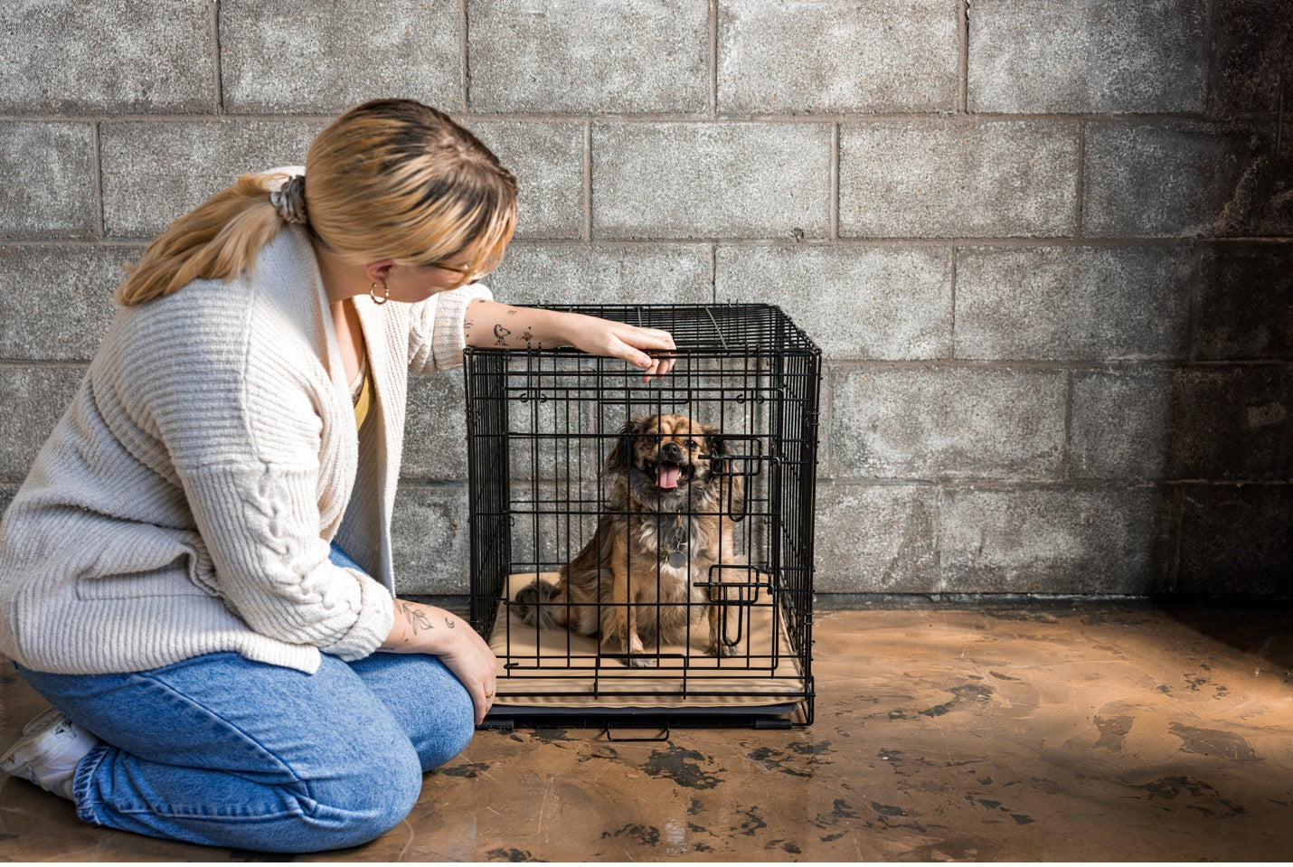 Should I Crate My Dog at Night?